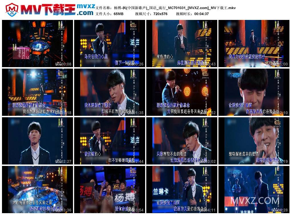 杨博-枫(中国新歌声)_国语_流行_MC701031